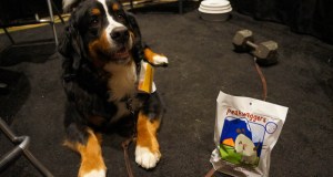 PeakWaggers Dehydrated Dog Meals
