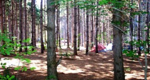 Camping Whitewater Township Park in North Michigan