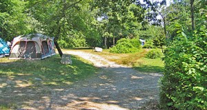 Shady Knoll Campground - Camping Close to Cape Cod