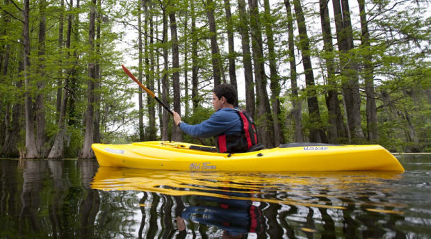 Best Recreational Kayaks for Beginners