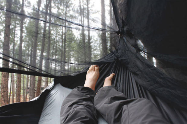 hammock bliss sky bed bug free