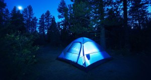 tips fo dispersed camping
