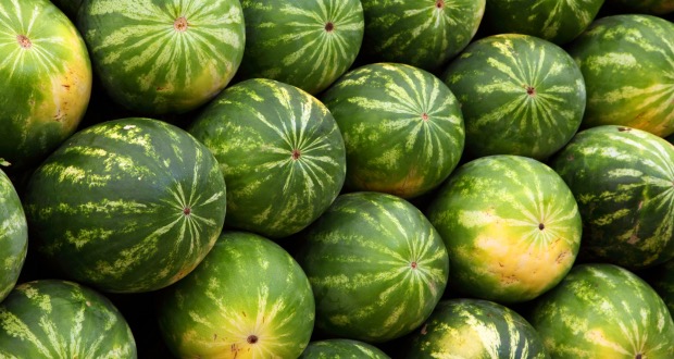 how to pick the perfect watermelon cover