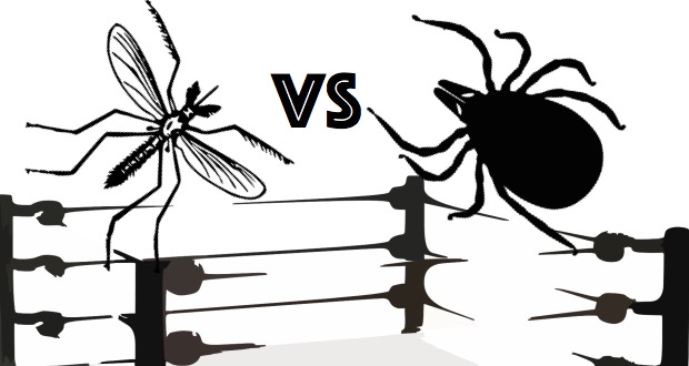 mosquitos vs ticks