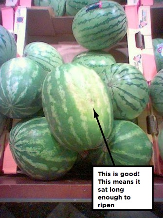 pick the perfect watermelon